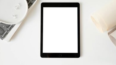 business evolution and innovation