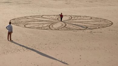 mandalas in flor exploration