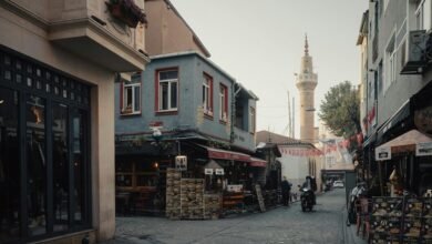 market influence examination report
