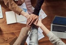 sustainable bookkeeping services offered
