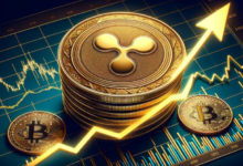 Blum Coin Price Forecast: Expert Predictions for 2025