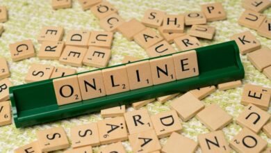 access ssom online services