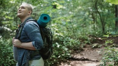 best tamil content hub