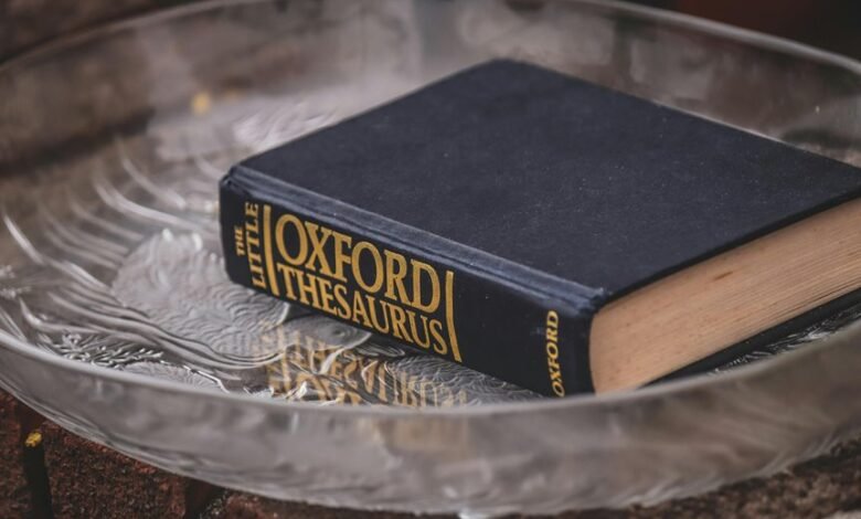 educational content exploration platform