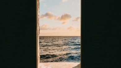 tfar portal login instructions