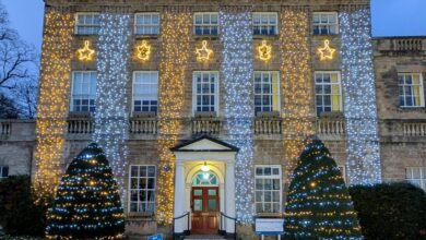 watch telugu movies online