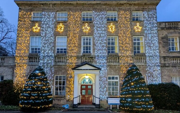 watch telugu movies online