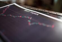 consumer alert report summary