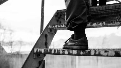 luminous brand ladder model