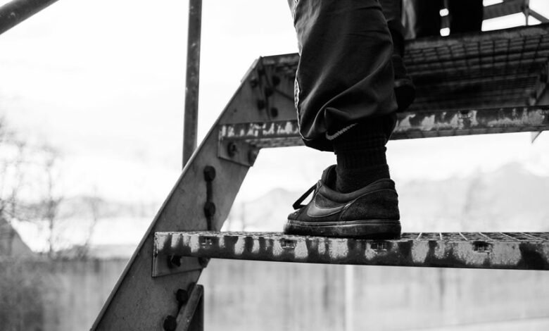 luminous brand ladder model