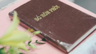 network registry feedback records