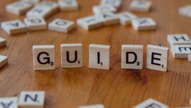 beginner guide for 3465607346