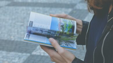 beginner guide to 5593355226