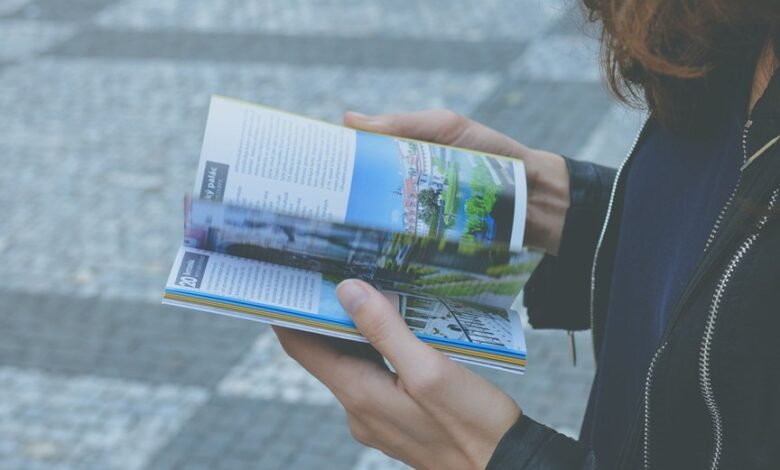 beginner guide to 5593355226