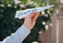 getting started with yomov8es successfully